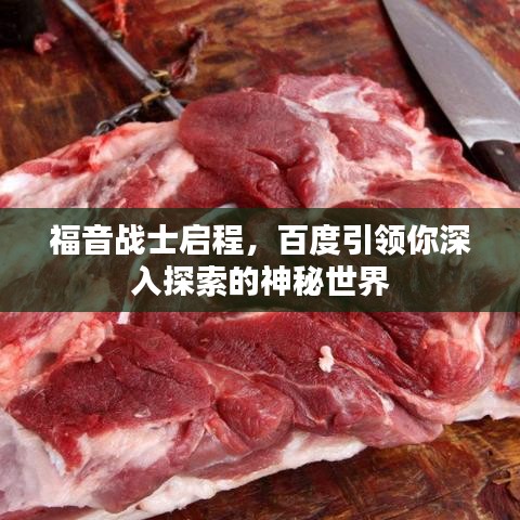 福音战士启程，百度引领你深入探索的神秘世界