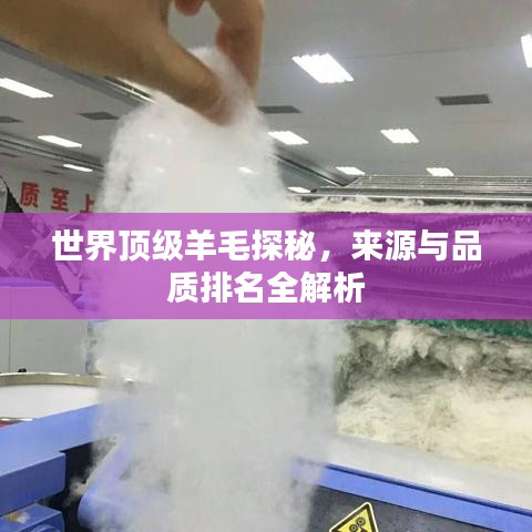 世界顶级羊毛探秘，来源与品质排名全解析