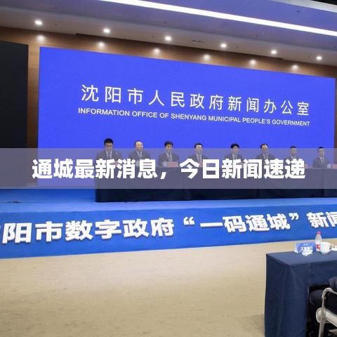 通城最新消息，今日新闻速递