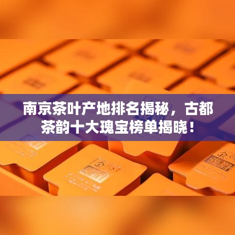 金石为开 第8页