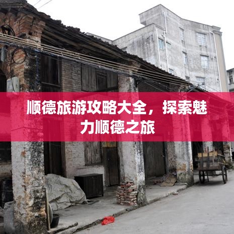 顺德旅游攻略大全，探索魅力顺德之旅
