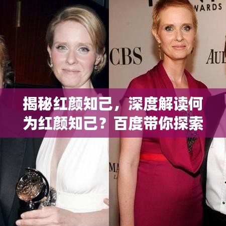 揭秘红颜知己，深度解读何为红颜知己？百度带你探索情感奥秘！