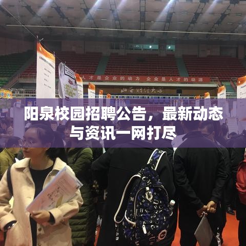 阳泉校园招聘公告，最新动态与资讯一网打尽