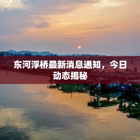 东河浮桥最新消息通知，今日动态揭秘