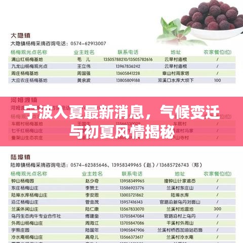 宁波入夏最新消息，气候变迁与初夏风情揭秘