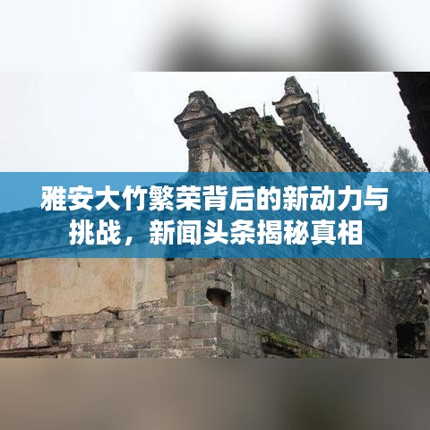 雅安大竹繁荣背后的新动力与挑战，新闻头条揭秘真相