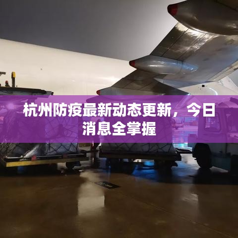 杭州防疫最新动态更新，今日消息全掌握