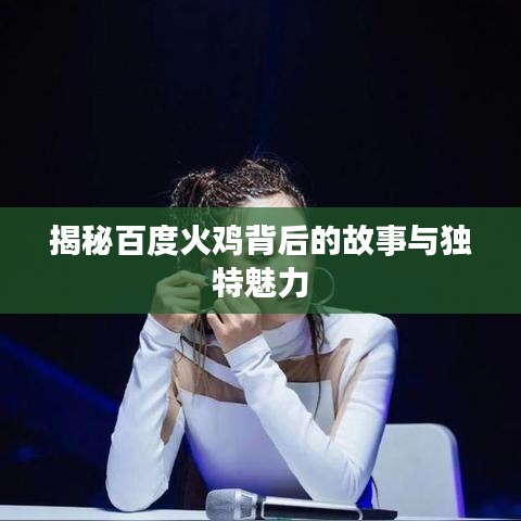 揭秘百度火鸡背后的故事与独特魅力