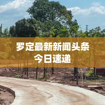 罗定最新新闻头条今日速递