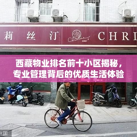 西藏物业排名前十小区揭秘，专业管理背后的优质生活体验