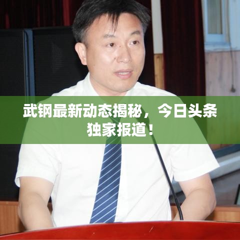 武钢最新动态揭秘,今日头条独家报道!
