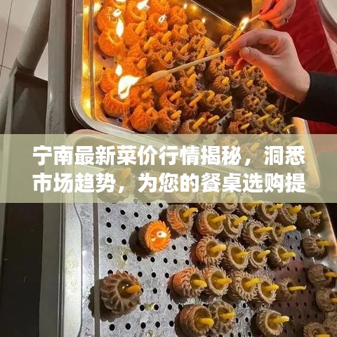宁南最新菜价行情揭秘，洞悉市场趋势，为您的餐桌选购提供指南