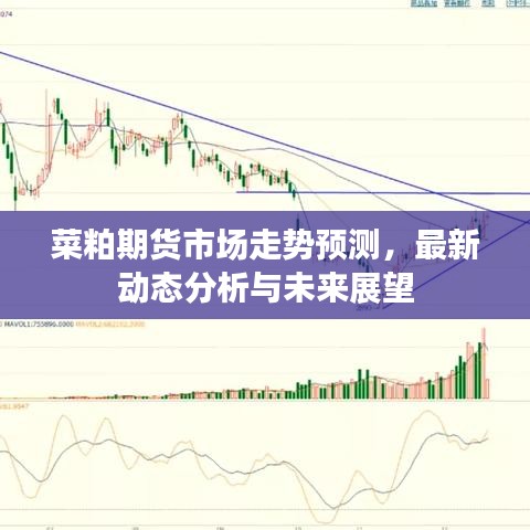 菜粕期货市场走势预测，最新动态分析与未来展望