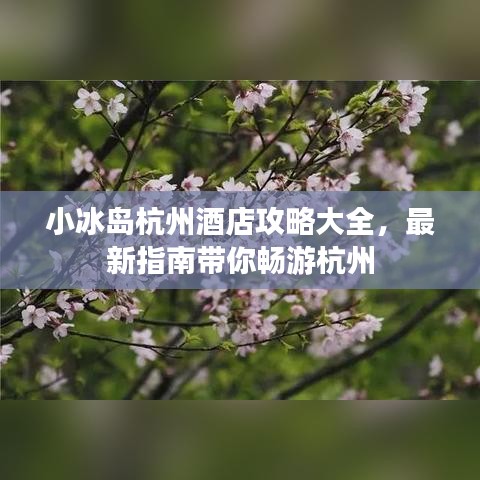 小冰岛杭州酒店攻略大全，最新指南带你畅游杭州