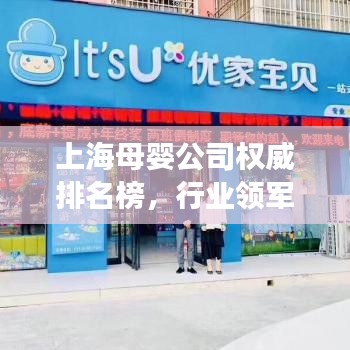 上海母婴公司权威排名榜，行业领军者解读！