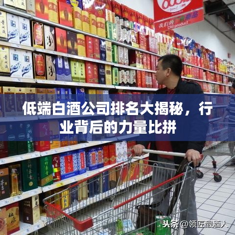 低端白酒公司排名大揭秘，行业背后的力量比拼