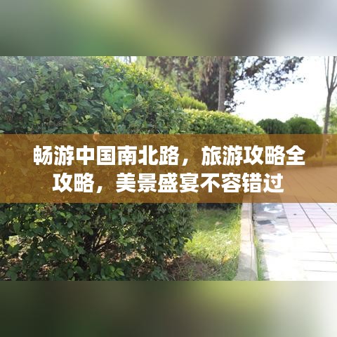 畅游中国南北路，旅游攻略全攻略，美景盛宴不容错过