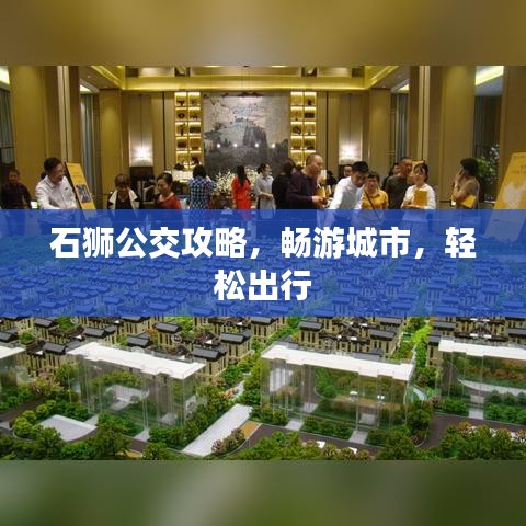 石狮公交攻略，畅游城市，轻松出行