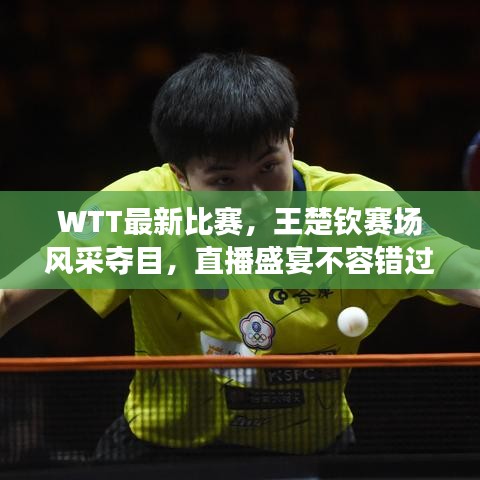 WTT最新比赛，王楚钦赛场风采夺目，直播盛宴不容错过