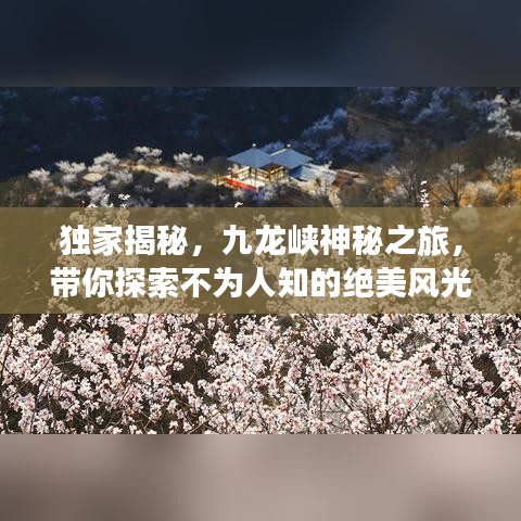 独家揭秘，九龙峡神秘之旅，带你探索不为人知的绝美风光！