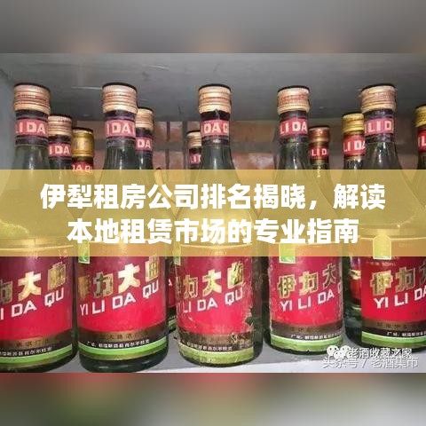 伊犁租房公司排名揭晓，解读本地租赁市场的专业指南