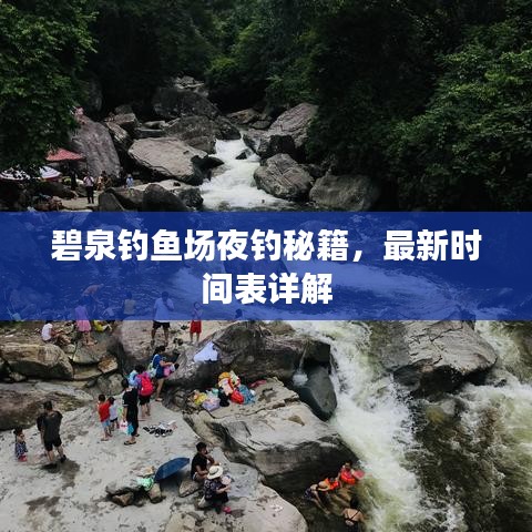 碧泉钓鱼场夜钓秘籍，最新时间表详解