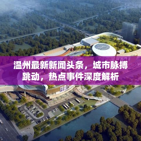 温州最新新闻头条，城市脉搏跳动，热点事件深度解析