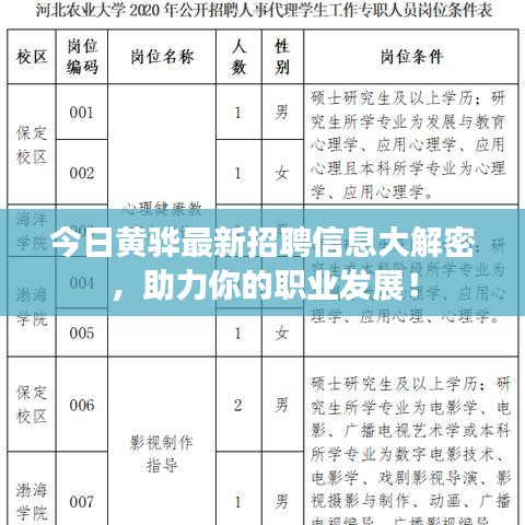 今日黄骅最新招聘信息大解密，助力你的职业发展！