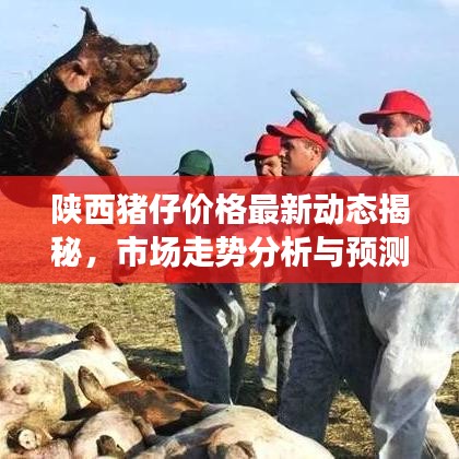 陕西猪仔价格最新动态揭秘，市场走势分析与预测报告