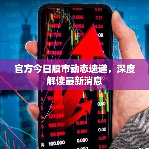 官方今日股市动态速递，深度解读最新消息