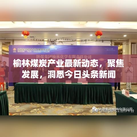 大张旗鼓 第8页