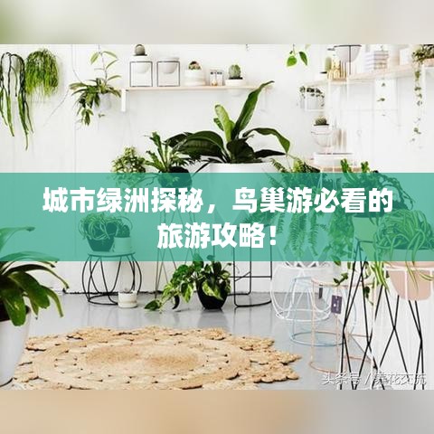 城市绿洲探秘，鸟巢游必看的旅游攻略！