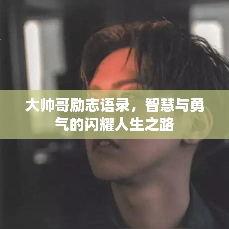 大帅哥励志语录,智慧与勇气的闪耀人生之路