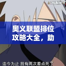 奥义联盟排位攻略大全，助你轻松登顶！