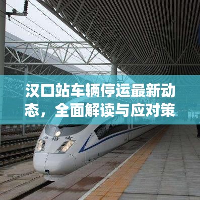 汉口站车辆停运最新动态,全面解读与应对策略