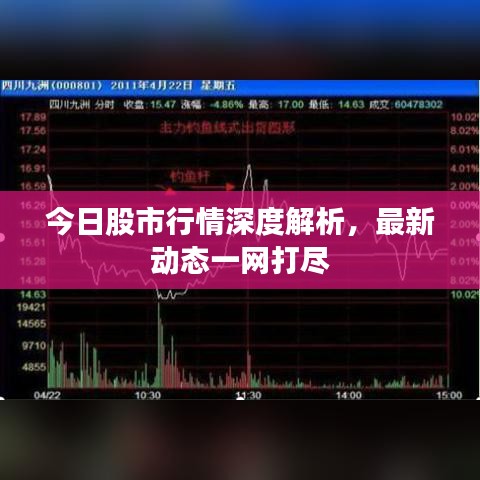 今日股市行情深度解析，最新动态一网打尽