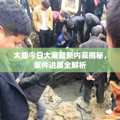 太康今日大案最新内幕揭秘，案件进展全解析