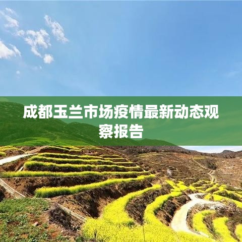 成都玉兰市场疫情最新动态观察报告
