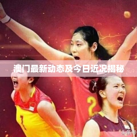 澳门最新动态及今日近况揭秘