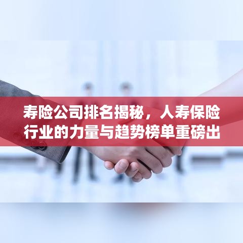 寿险公司排名揭秘，人寿保险行业的力量与趋势榜单重磅出炉！