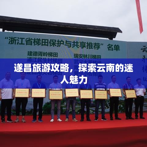 遂昌旅游攻略,探索云南的迷人魅力