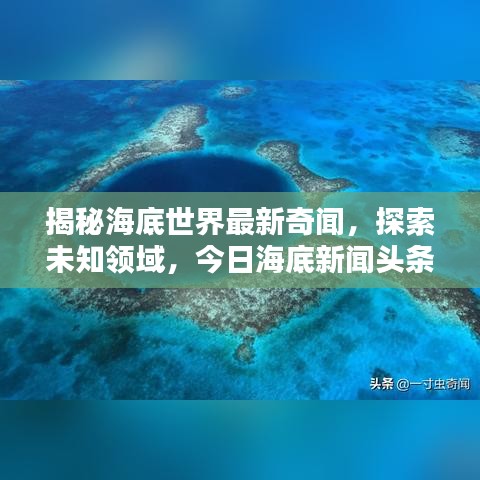 揭秘海底世界最新奇闻，探索未知领域，今日海底新闻头条！