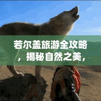 若尔盖旅游全攻略，揭秘自然之美，畅游绝美路线！