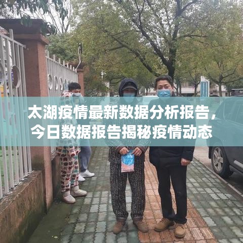 太湖疫情最新数据分析报告，今日数据报告揭秘疫情动态