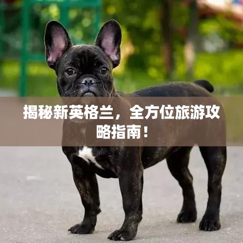 揭秘新英格兰，全方位旅游攻略指南！