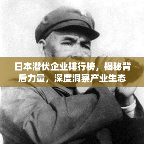 日本潜伏企业排行榜，揭秘背后力量，深度洞察产业生态
