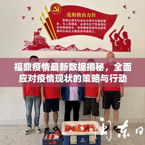 福鼎疫情最新数据揭秘，全面应对疫情现状的策略与行动