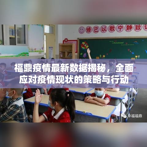 福鼎疫情最新数据揭秘,全面应对疫情现状的策略与行动