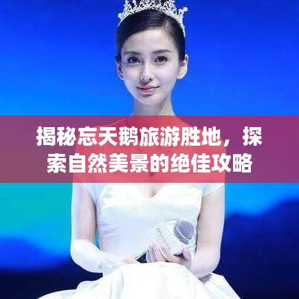 揭秘忘天鹅旅游胜地，探索自然美景的绝佳攻略