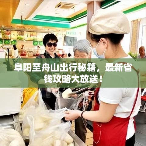 阜阳至舟山出行秘籍，最新省钱攻略大放送！